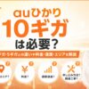 auひかり10ギガは必要？1ギガ・5ギガとの違いや料金・速度・エリアを解説